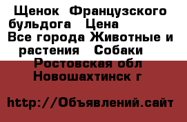 Щенок  Французского бульдога › Цена ­ 35 000 - Все города Животные и растения » Собаки   . Ростовская обл.,Новошахтинск г.